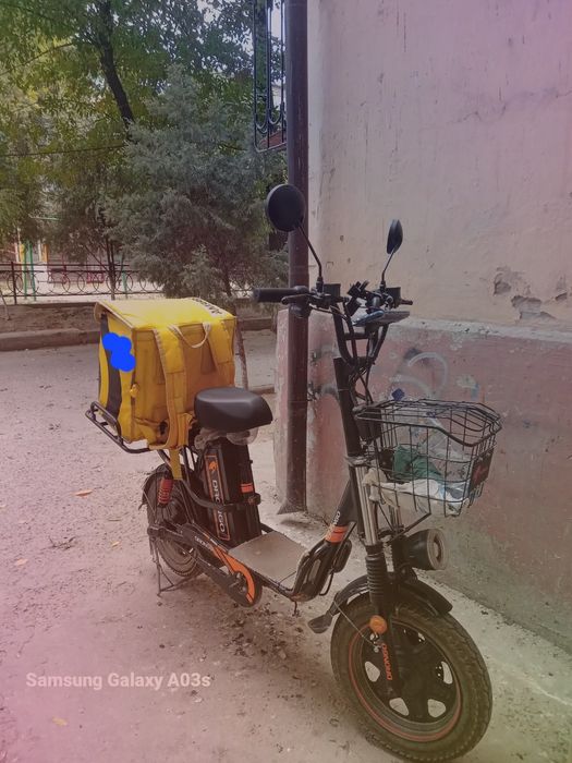 Дронго Монстр сотаман