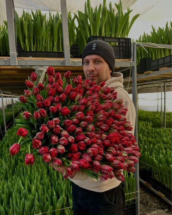 Тюльпаны с доставкой