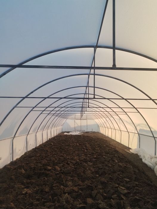 Solariul casei pt legume