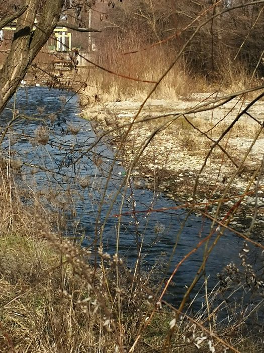 Vand Teren pretabil Cabană în Orăștioara - Costești.