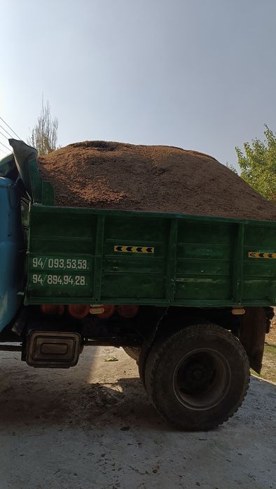 Gong biagoms qurutilgan chirigan gong