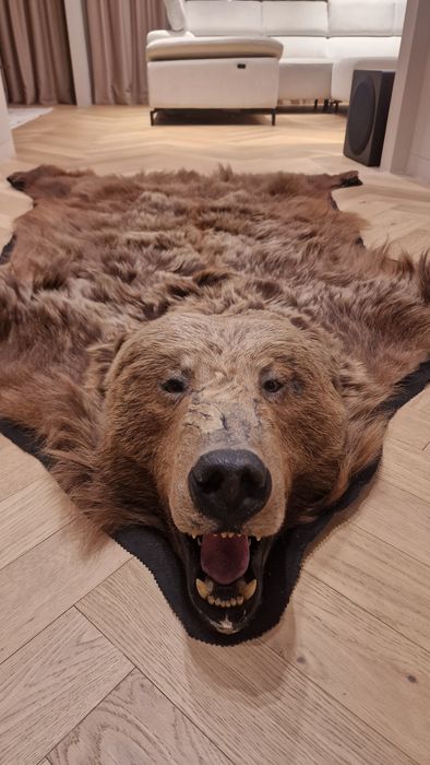 Ковёр из медвежьей шкуры