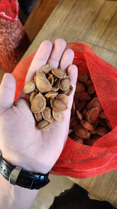 Donak sotiladi 15.000 sumdan