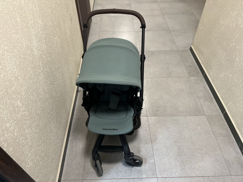 Коляска прогулочная Easywalker Charley 1