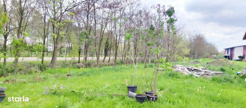 Teren de vanzare,proiect de casa,Cartierul Olandez, Joița, Giurgiu