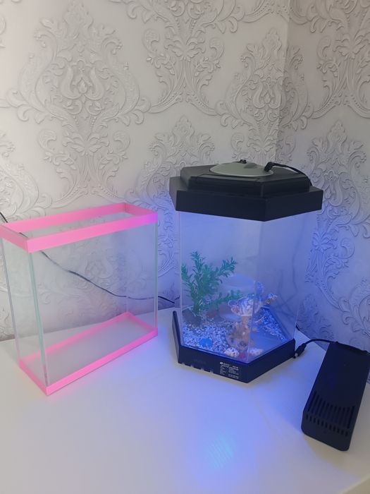 Аквариум для рыб