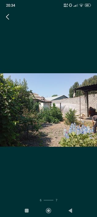 Уй учасика, Юқори чирчиқ