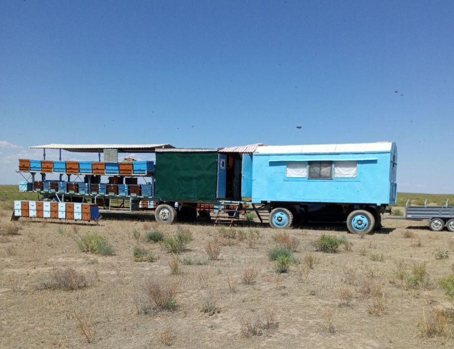 Продается пасека готовый бизнес