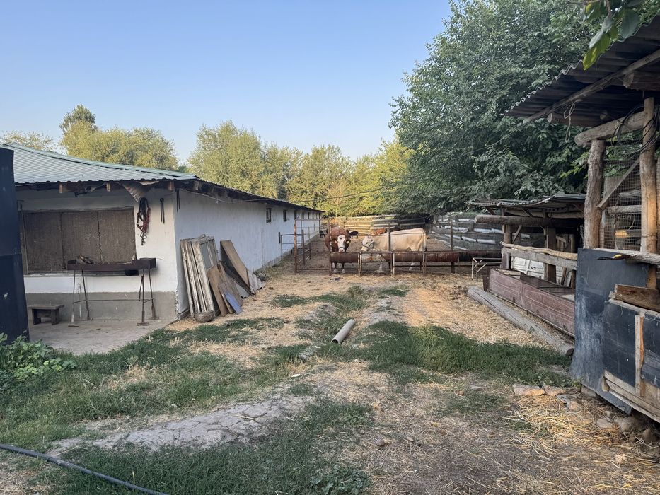 Урта чирчик  Таракийот МФЙ С. Полатов кочаси 152 уй