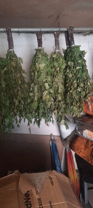 Продам березовые веники