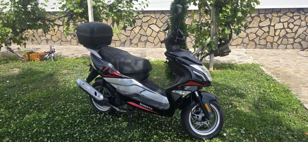 Sinsto R8 2017 50