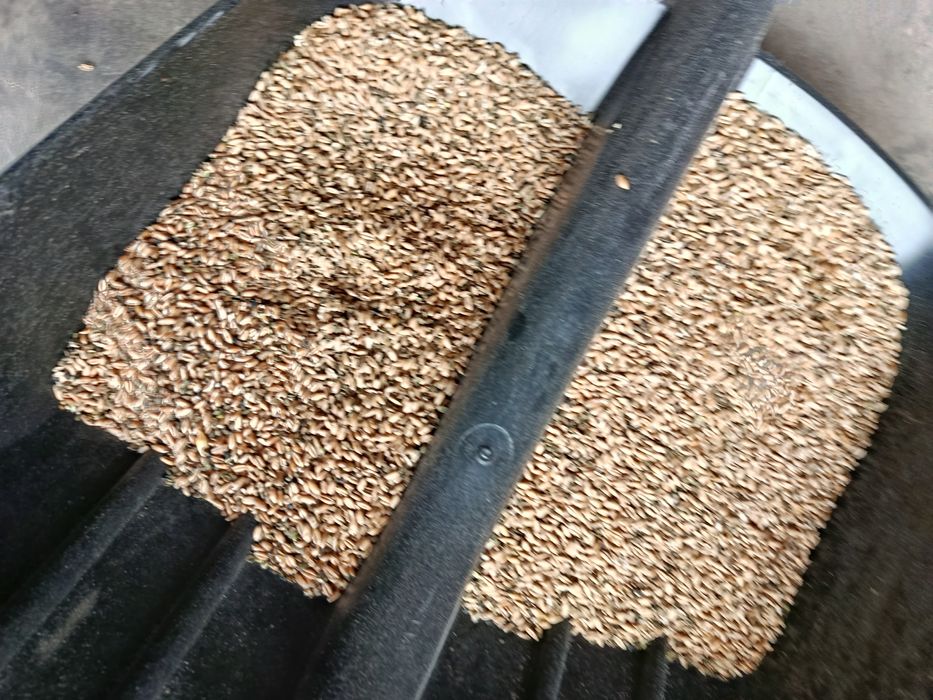 Дроблёное зерно(бидай)