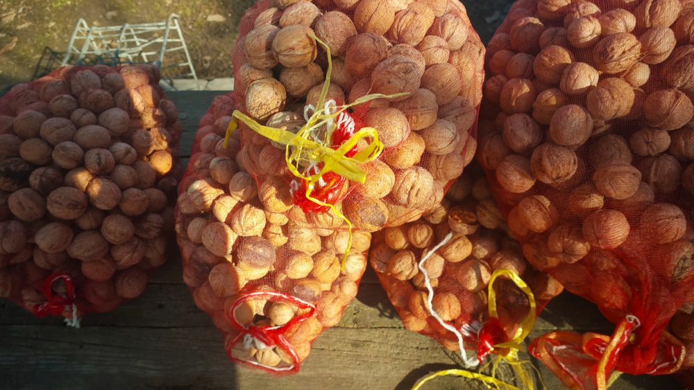 продам орехи грецкие домашние