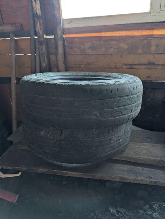 Cordiant road runner