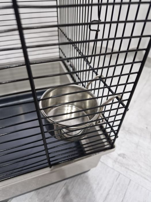 Cusca pentru pasari!