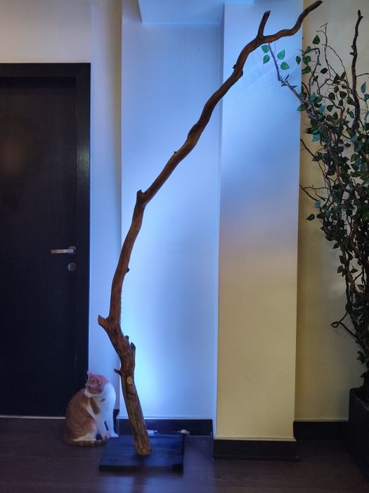 Lampa din lemn natural