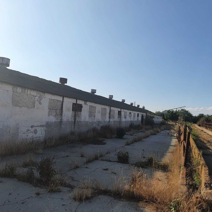 Ferma agricola,de vanzare