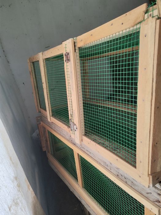 Universal. KATAKLAR. Xar-xil oʻlcham. ++