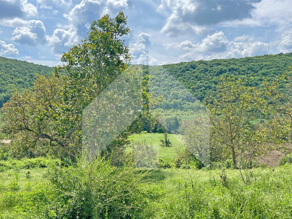 Продава се Парцел в с. Лиси връх, Област Шумен - 4420 кв.м за 3 €/кв.м - Снимка #11