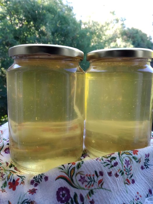 Натурален пчелен мед от акация