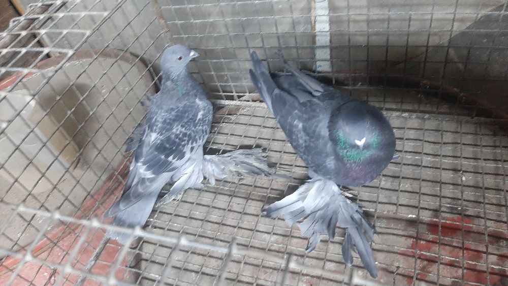 Порождается молодеж этого года