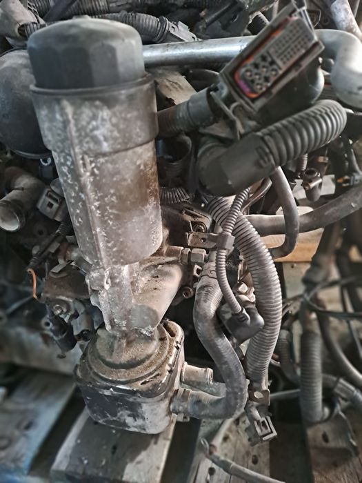 Termoflot racitor ulei carcasa filtru ulei vw sharan 1.9tdi