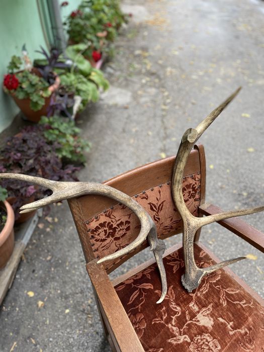 Еленски рога.