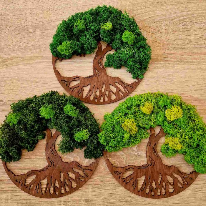 Подаръци със скандинавски мъх