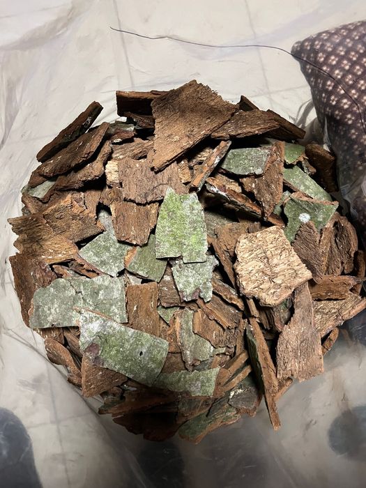 Vând scoarță brad,molid