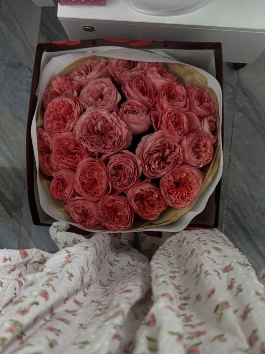 Цветы роза розовые