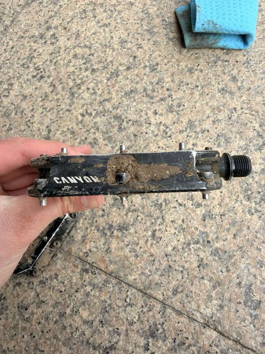 Canyon torque CLLCTV 2025