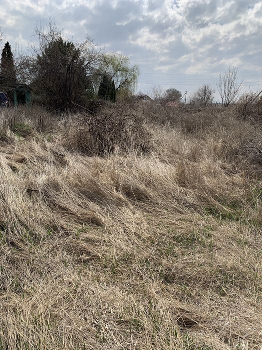 Продам дачу в Илийском районе
