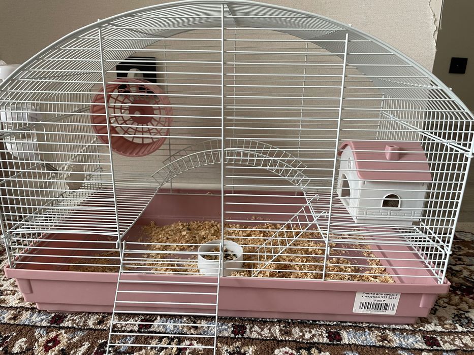 Продам в связи с переездом в другой город 2 крыс