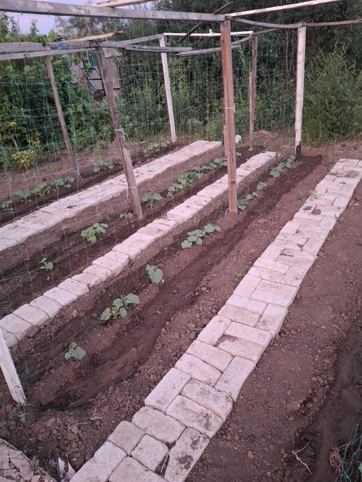 Продам дачу ск локомотивное 10