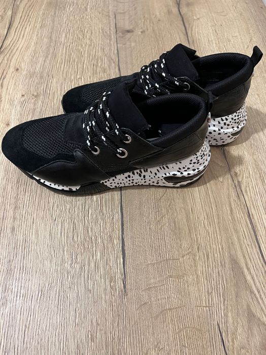 Sneakers Steve Madden