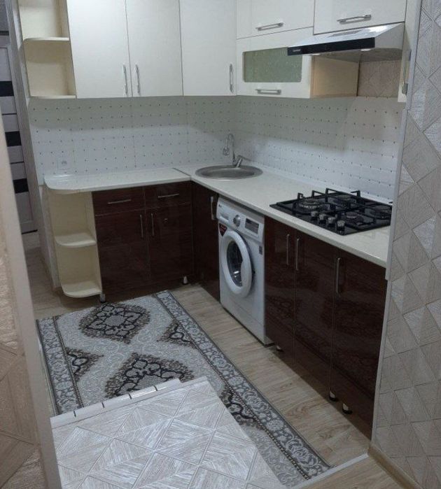 Мирзо Улугбек аренда семя и студентов