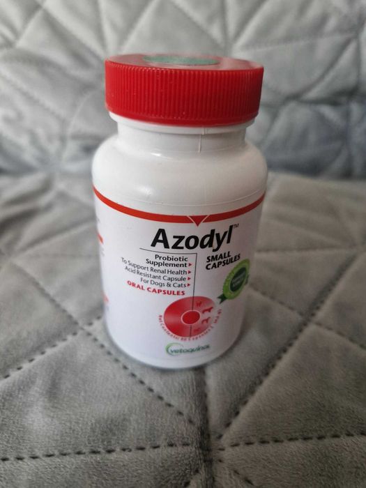 Азодил - добавка за хронична бъбречна недостатъчност