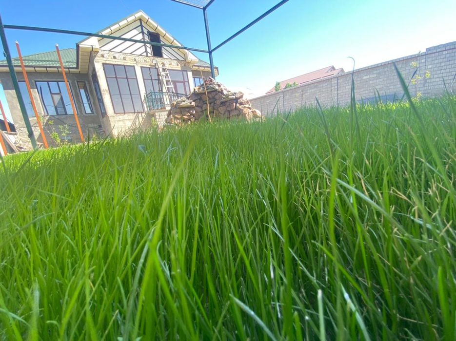 Газон Автополив Клевер