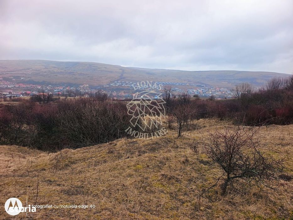 Teren de vânzare intravilan 8500 mp Chinteni Cluj oportunitate investi