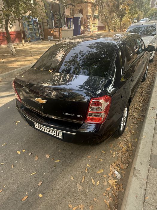 Продаю свой коболти дарумон блу