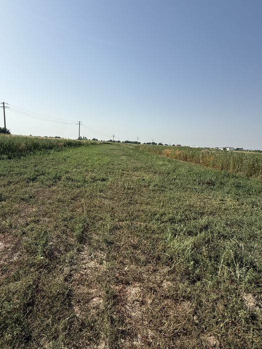 Vand Hala in Crevedia