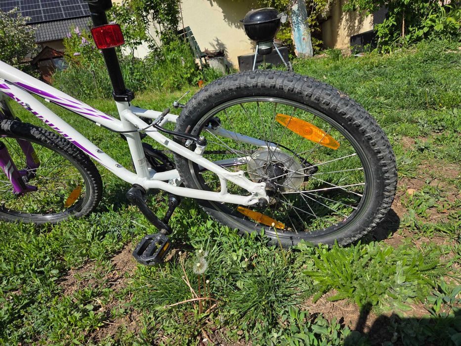 Bicicleta Specialized