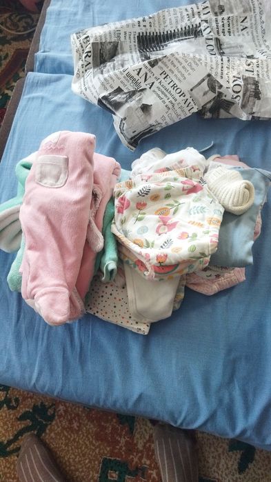 Отдам даром, район рощи