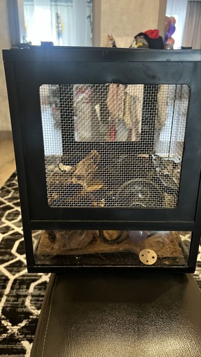 Продам Террариум