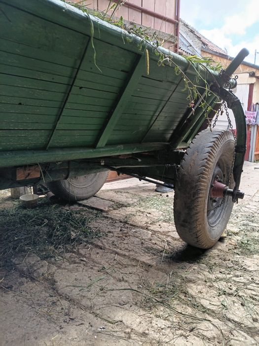 Da căruțe de vânzare