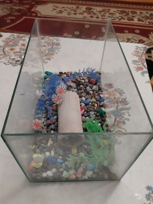 Sifatli akvaryum sotiladi 20x20