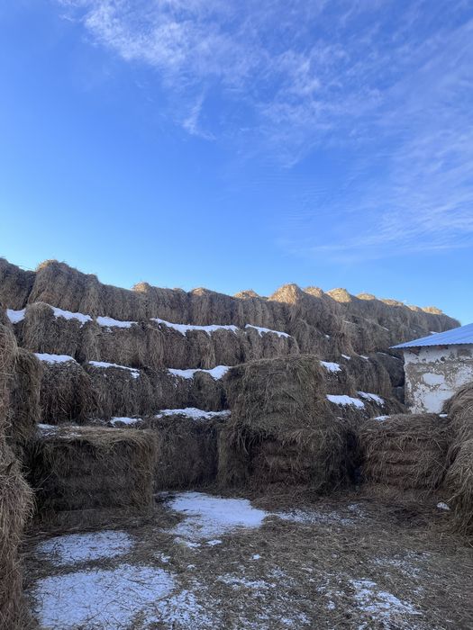 Сено луговое в рулонах