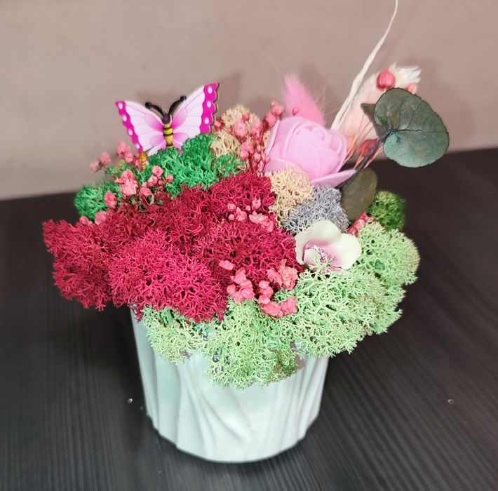 Бурканчета и мини кашпи с естествен скандинавски мъх