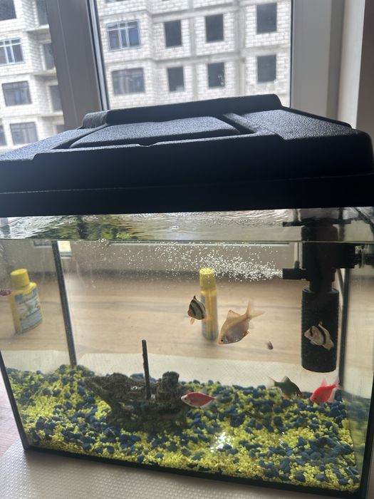 Продается аквариум в отличном состоянии