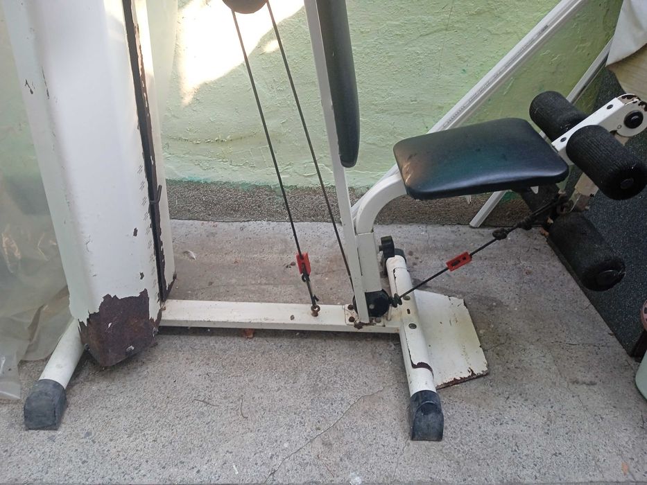 Гладиатор Кетлер